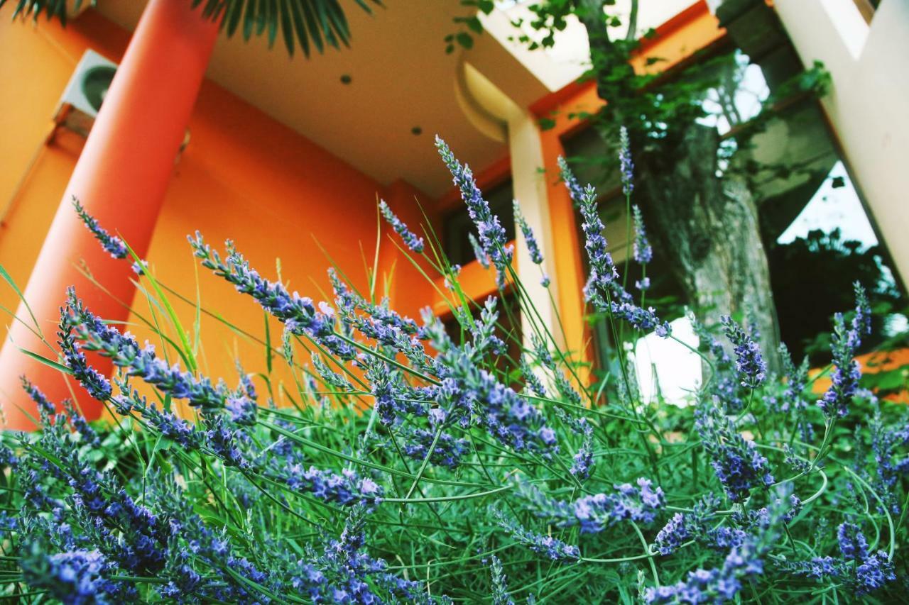 Boutique Hotel Art Villa Panorama تبليسي المظهر الخارجي الصورة